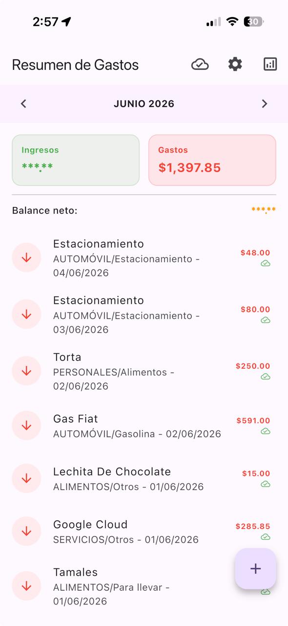 Resumen de Gastos